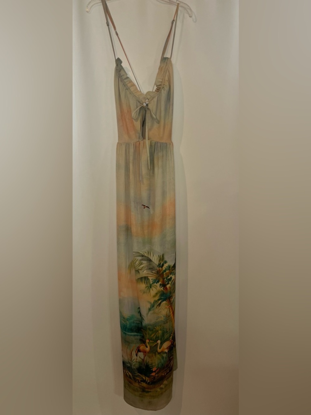 Anthropologie Celandine Sleeveless Scenic Maxi Dress - Picture 4 of 9
